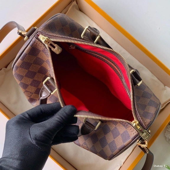 Vuitton Louis SPEEDY BANDOULIERE 25 0729
